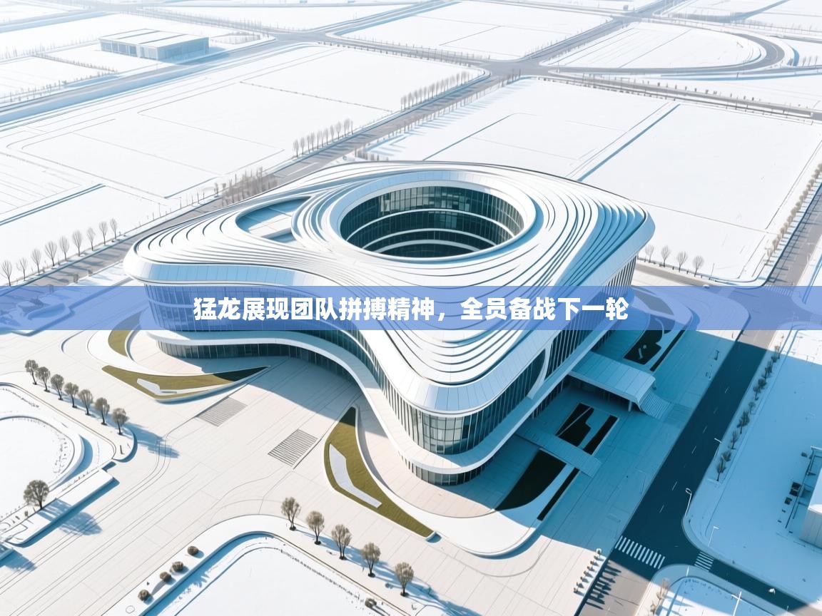 猛龙展现团队拼搏精神,全员备战下一轮 第1张