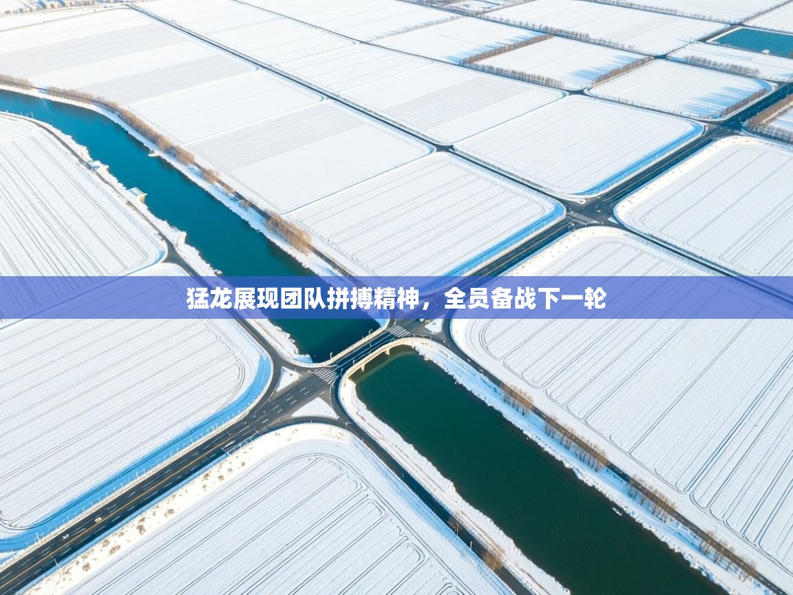 猛龙展现团队拼搏精神,全员备战下一轮 第2张